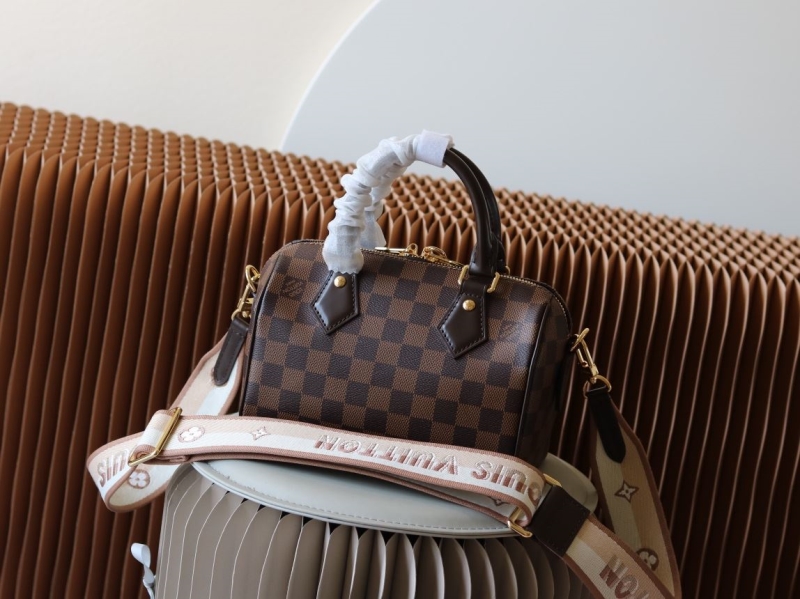 LV Speedy Bags